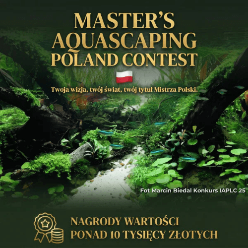 Fot Marcin Biedal Konkurs IAPLC 25 (1)