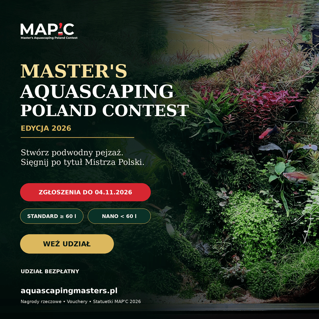 WWW_MAPC_2026_bez_jury